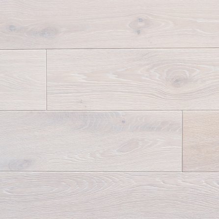 Polskie Dęby - Dąb Bielony