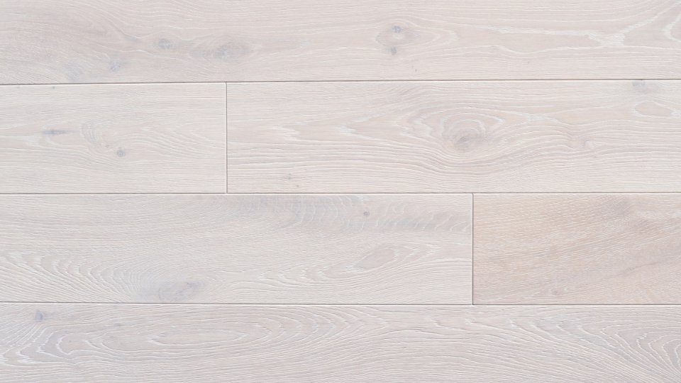 Polskie Dęby - Dąb Bielony