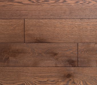 Polskie Dęby - Dąb Brunatny