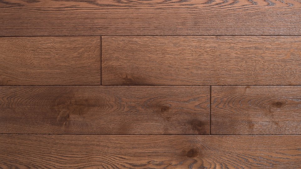 Polskie Dęby - Dąb Brunatny