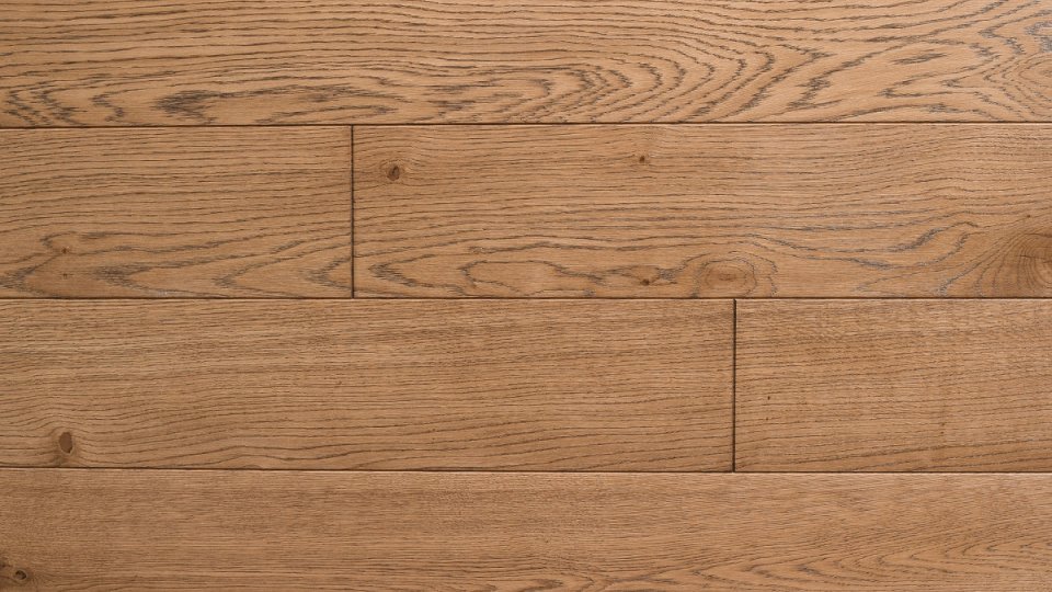 Polskie Dęby - Dąb Cynamonowy