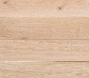 Polish Oaks - Common Oak