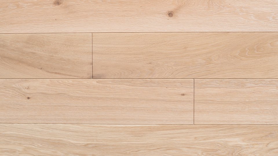 Polskie Dęby - Dąb Leśny