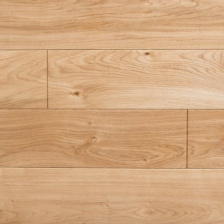 Polskie Dęby - Dąb Miodowy