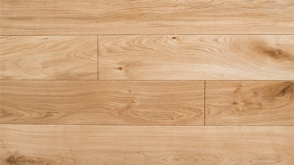 Polskie Dęby - Dąb Miodowy