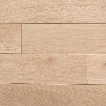 Polskie Dęby - Dąb Polny