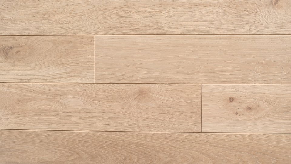 Polskie Dęby - Dąb Polny