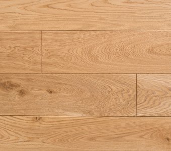 Polish Oaks - Common Oak