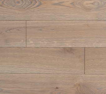 Polish Oaks - Quercus petraea