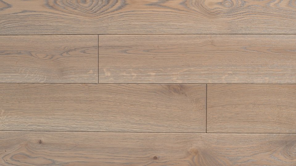 Polskie Dęby - Dąb Siny