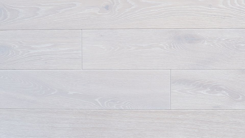 Polskie Dęby - Dąb Śnieżny