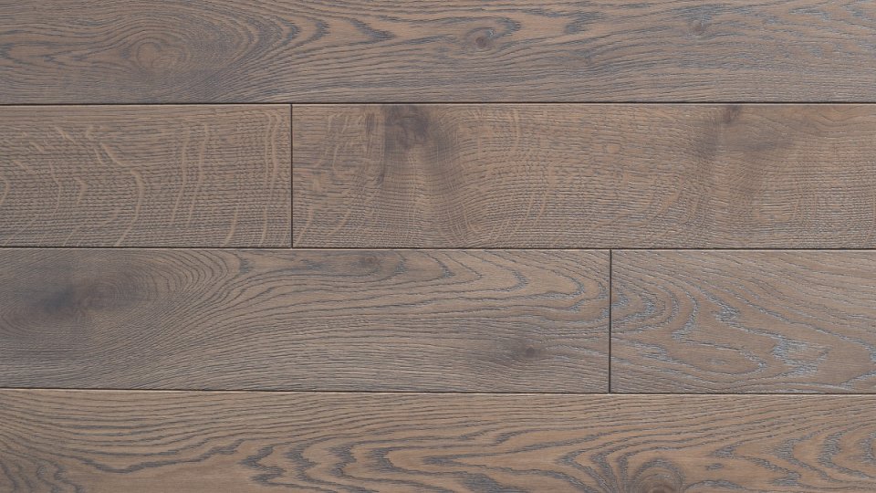 Polskie Dęby - Dąb Szary