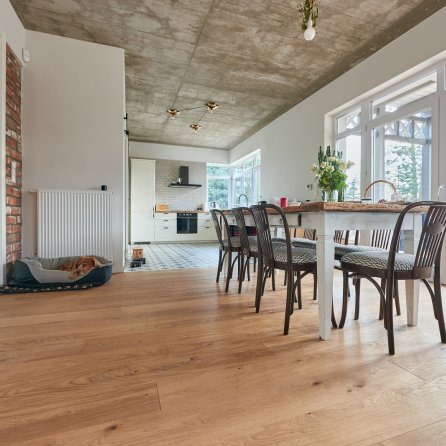 Wonder Floor Dąb Canton Standard XXL