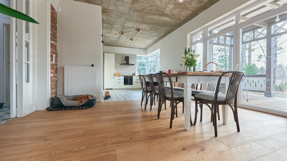 Wonder Floor Dąb Canton Standard XXL