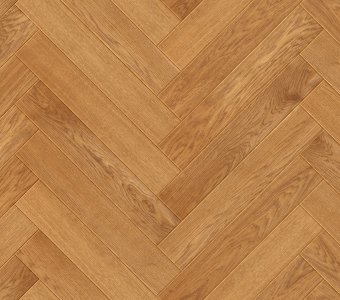 Classic Spruce Oak Amber Lacquered