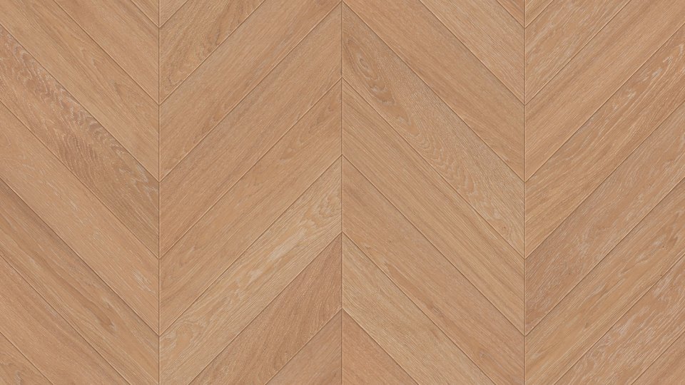 Jodła Francuska Dąb Magnacki - kolekcja Charakter