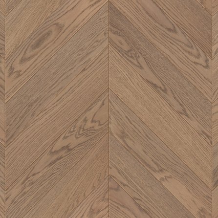 Jodła Francuska Dąb Piastowski - kolekcja Charakter