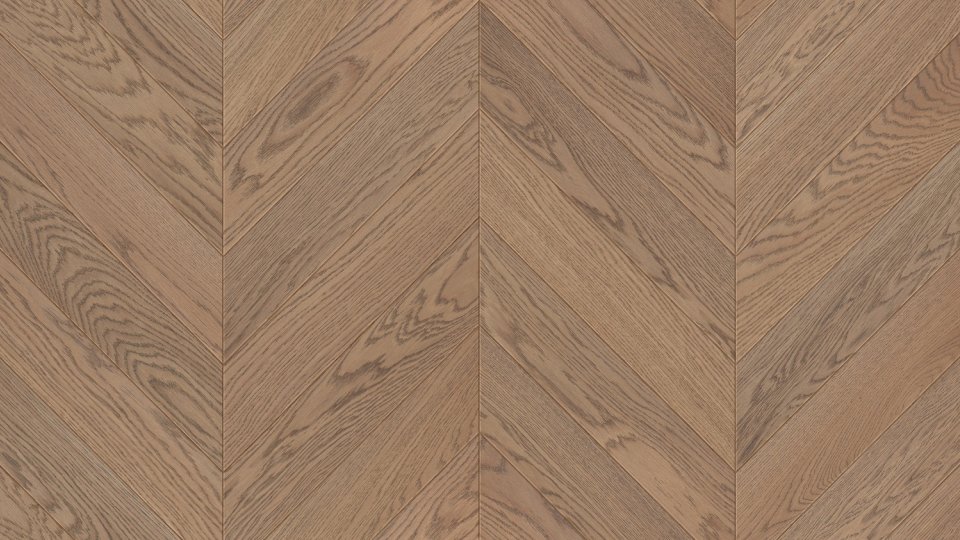 Jodła Francuska Dąb Piastowski - kolekcja Charakter