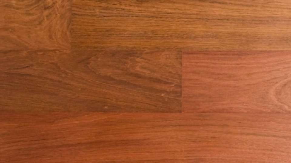 Jatoba