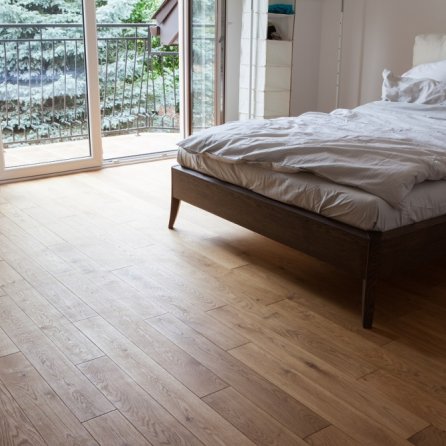 Dąb Bezbarwny Markant