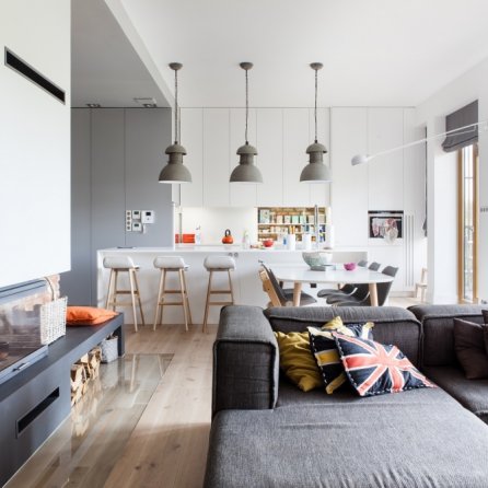 Polskie Dęby Dąb Leśny