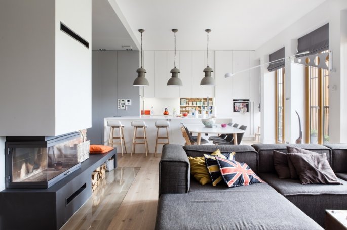 Polskie Dęby Dąb Leśny