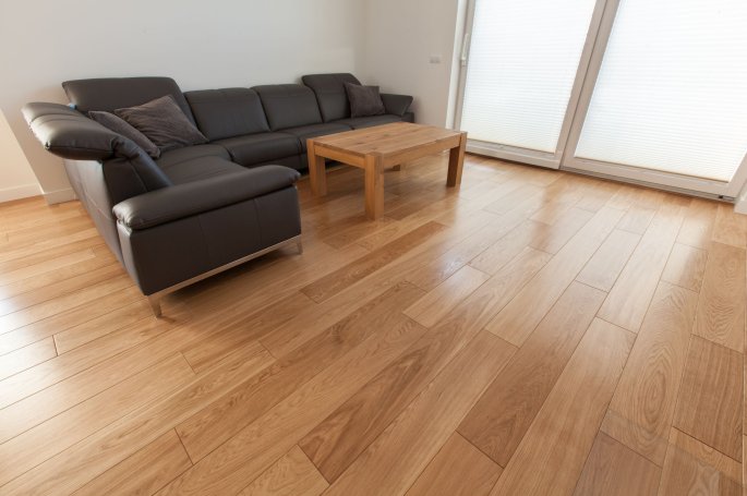 Polskie Dęby Dąb Szlachecki