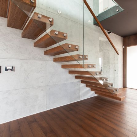 Polskie Dęby Dąb Pałacowy