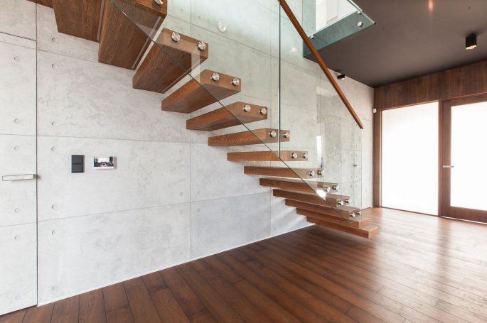 Polskie Dęby Dąb Pałacowy