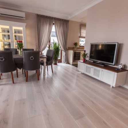 Polskie Dęby Dąb Bielony