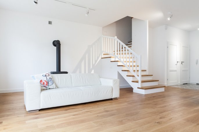 Polskie Dęby Dąb Pospolity Postarzany