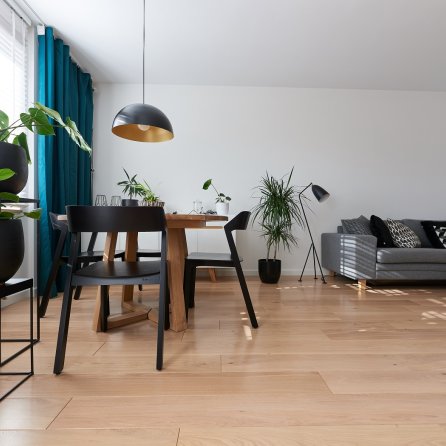 Polskie Dęby Dąb Polny