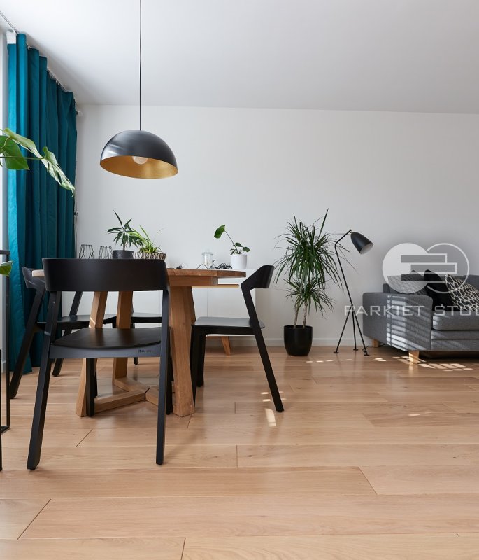 Polskie Dęby Dąb Polny