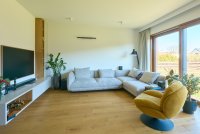 Polskie Dęby - Dąb Pospolity