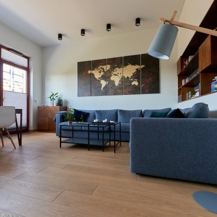 Polskie Dęby Dąb Złocisty