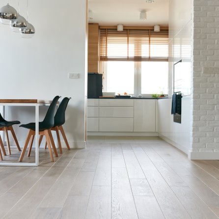 Color Floor Dąb Snow White