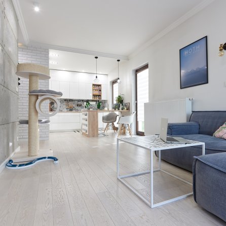 Polskie Dęby Dąb Śnieżny