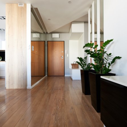 Color Floor Dąb Brace Rustyk