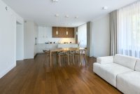 Color Floor Dąb Brown - Lakier