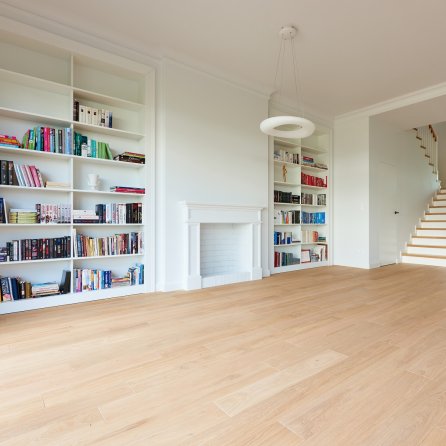 Polskie Dęby dąb Diament