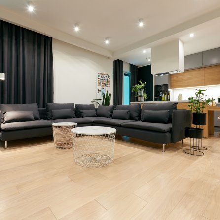 Color Floor Dąb White Natura