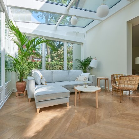 Color Floor Jodła Francuska Dąb Brace Standard