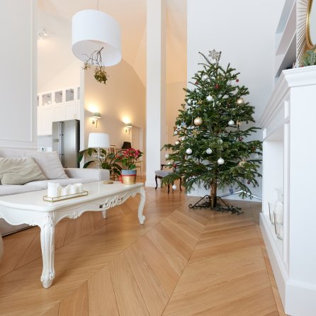 Color Floor Jodła Francuska Dąb Classic Natur