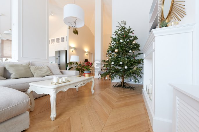 Color Floor French Spruce Oak Classic Natural