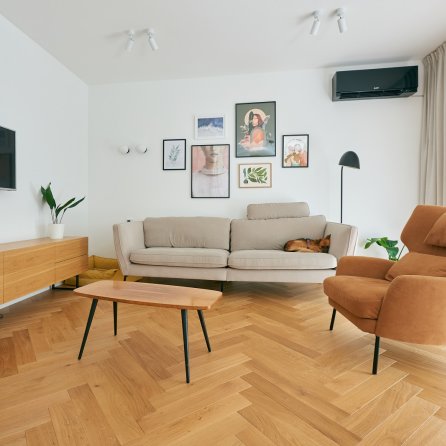 Color Floor Jodła Klasyczna Dąb Pure Standard