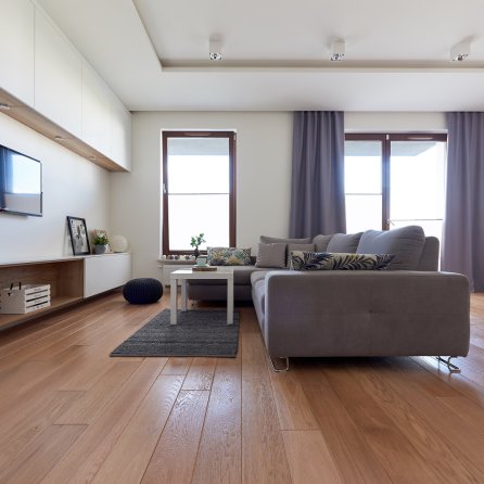 Color Floor Dąb Polar Standard