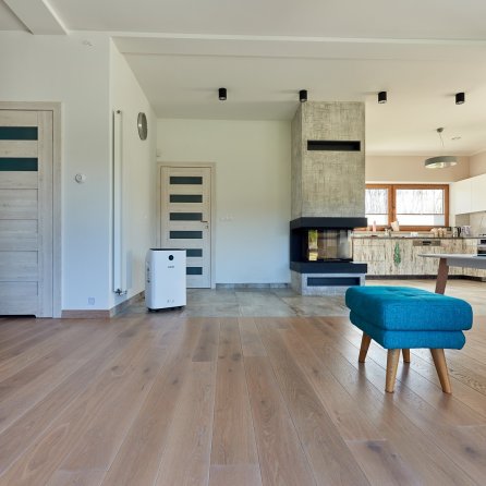 Walczak - Dąb Biały Country