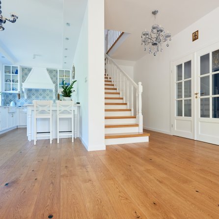 Polskie Dęby - Dąb Kaszubski