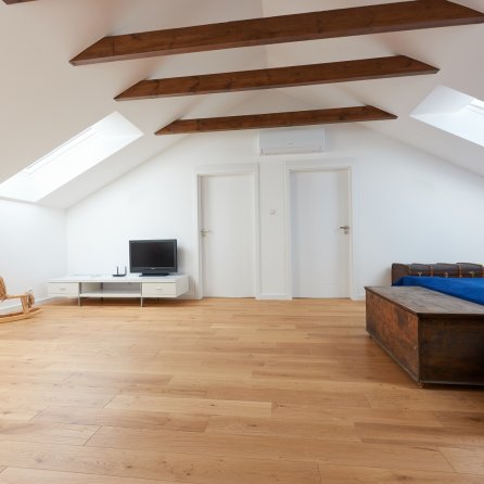 Polskie Dęby - Dąb Leśny Postarzany 