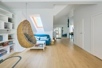 Polskie Dęby - Dąb Loftowy